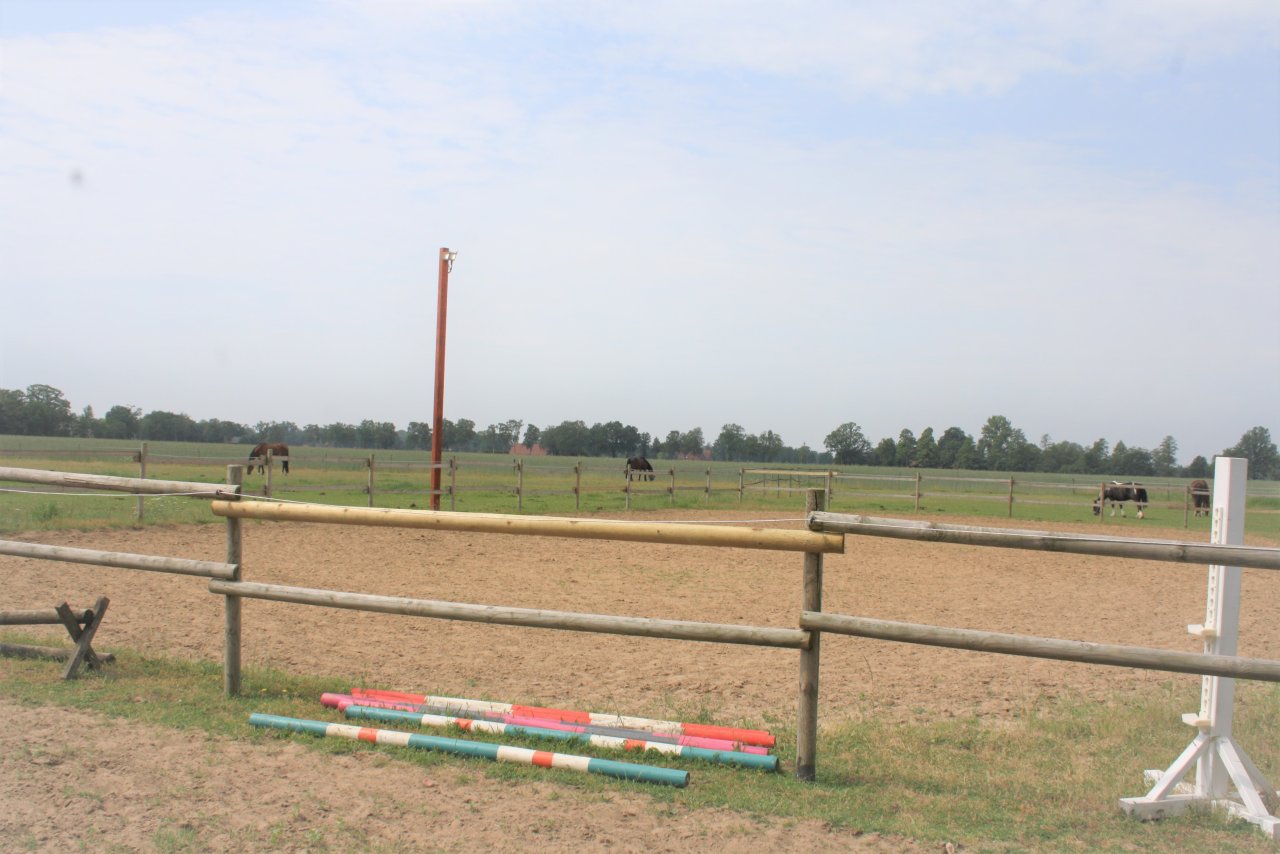 Bauernhöfe, kleine Reitanlagen sowie größere Reitanlagen mit Reithalle.