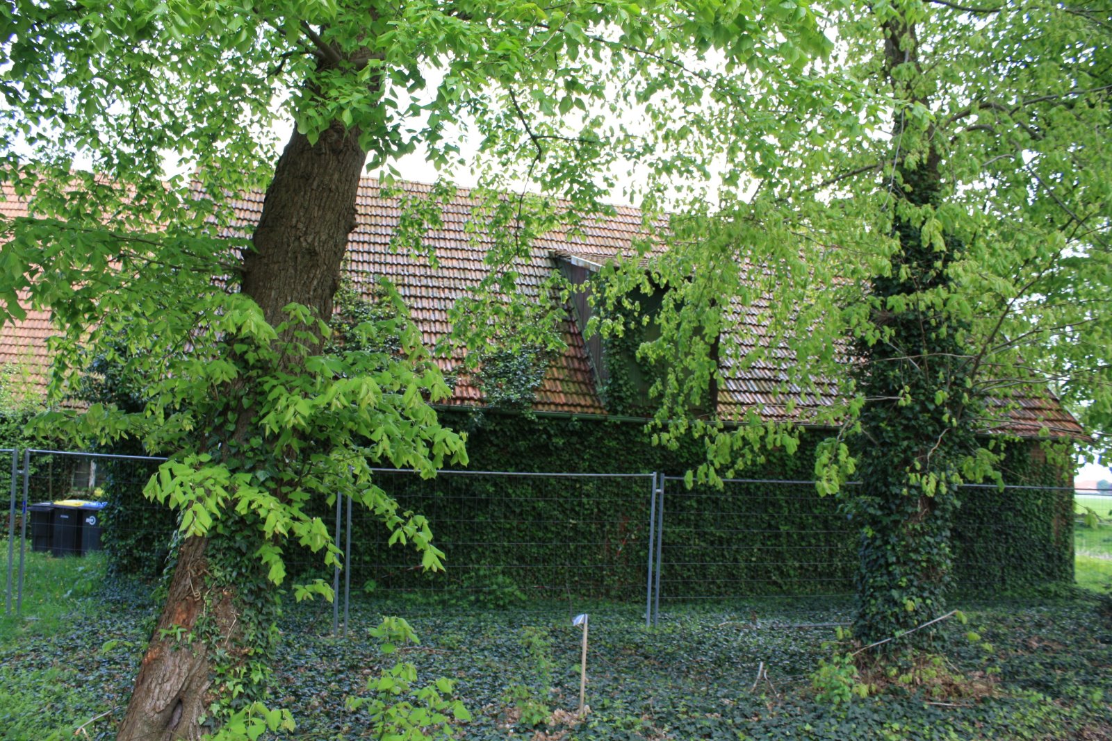 Denkmal geschützter Bauernhof kann zum Traumhaus werden