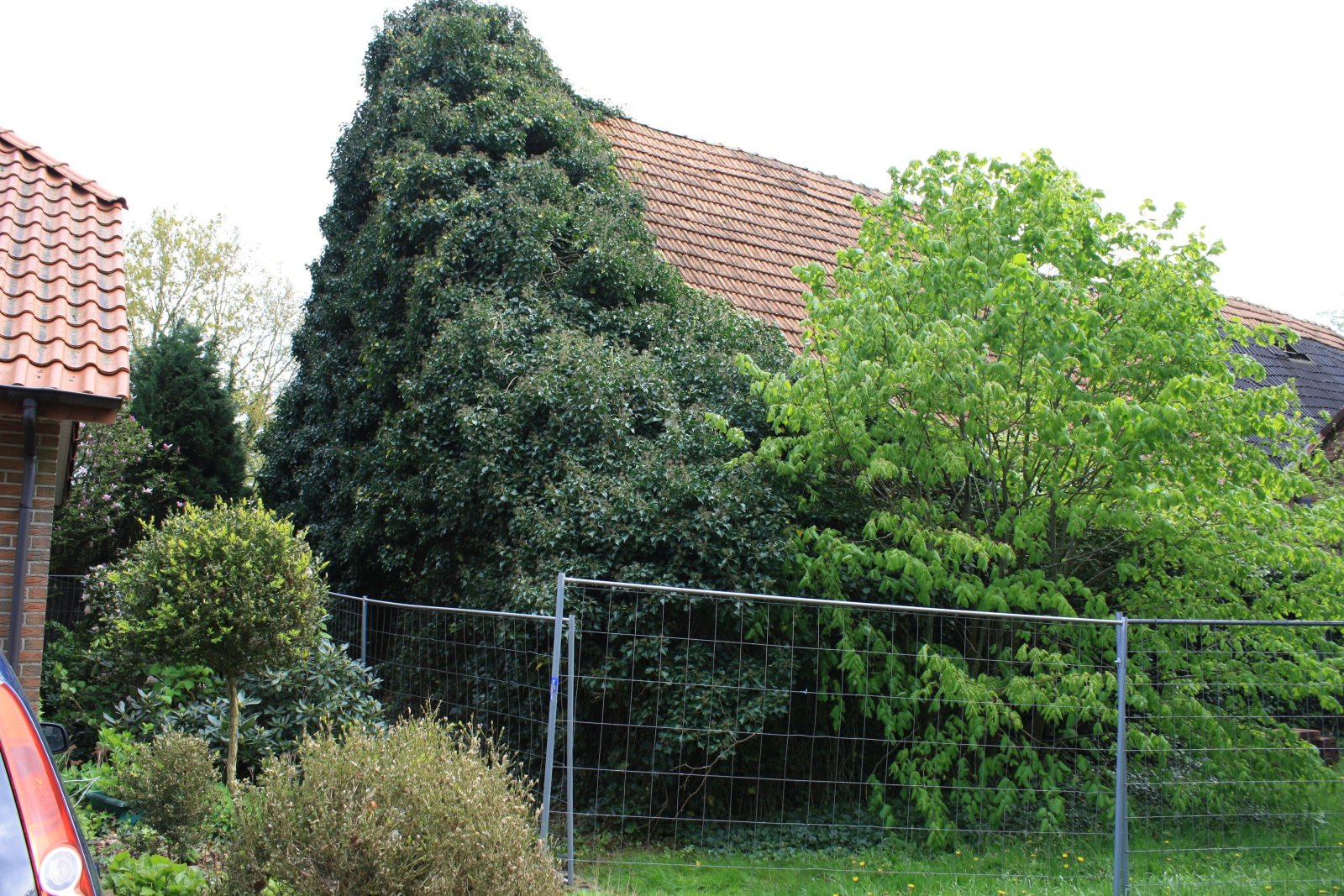 Denkmal geschützter Bauernhof kann zum Traumhaus werden