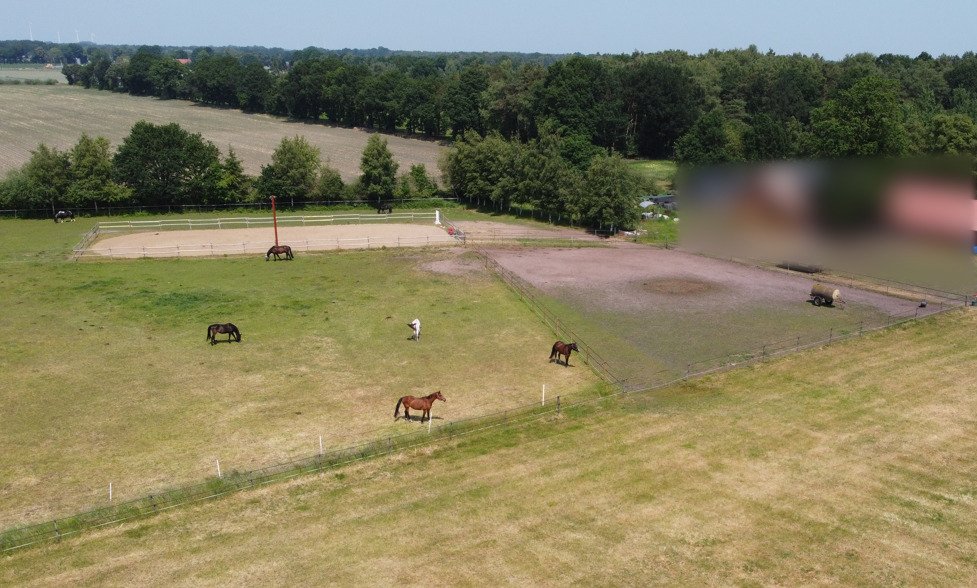 Reitanlage mit 4 Pferdeställen und Reitplatz gesucht