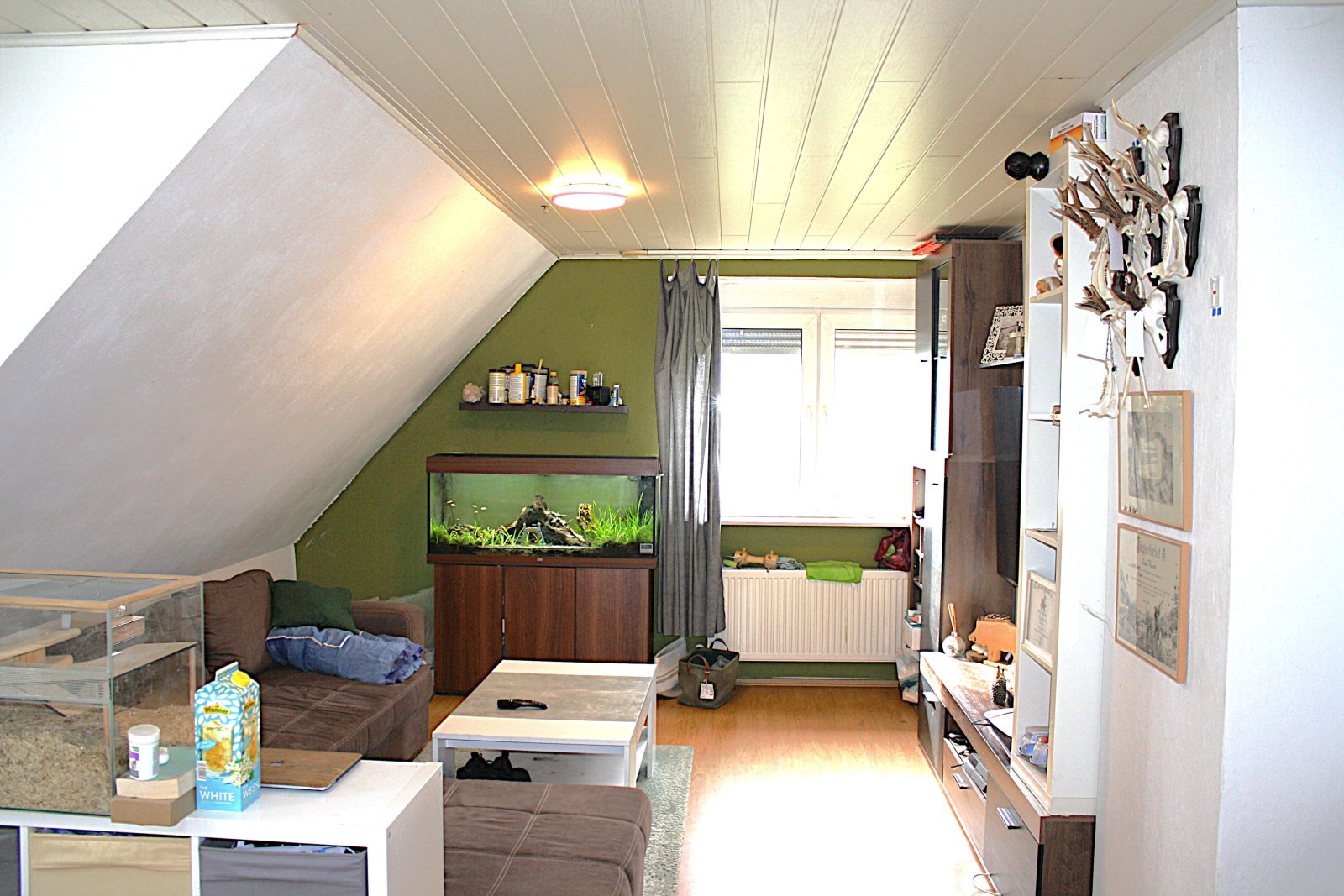 Großzügiges Wohnhaus mit Wintergarten, Poolhaus und vielseitigen Nutzungsmöglichkeiten