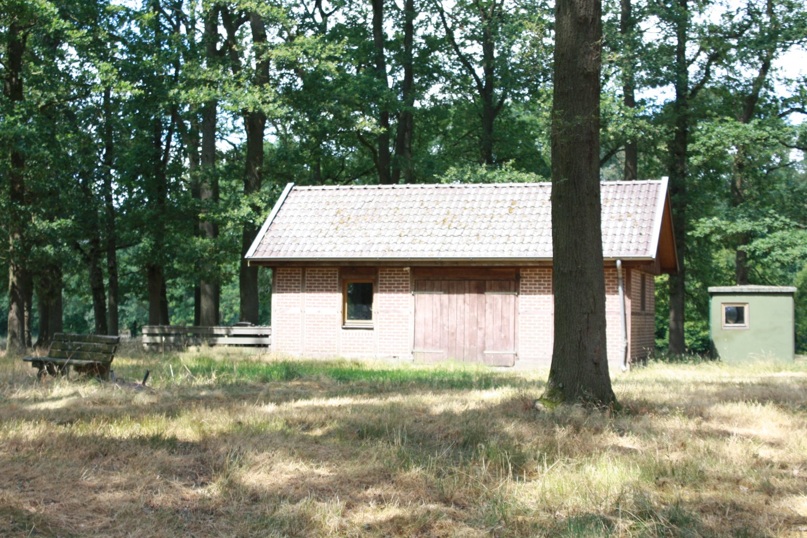 Seltenes Naturgrundstück im Emsland – 4 ha Weide, 2 Teiche, Gebäude genehmigt, komplett eingezäunt