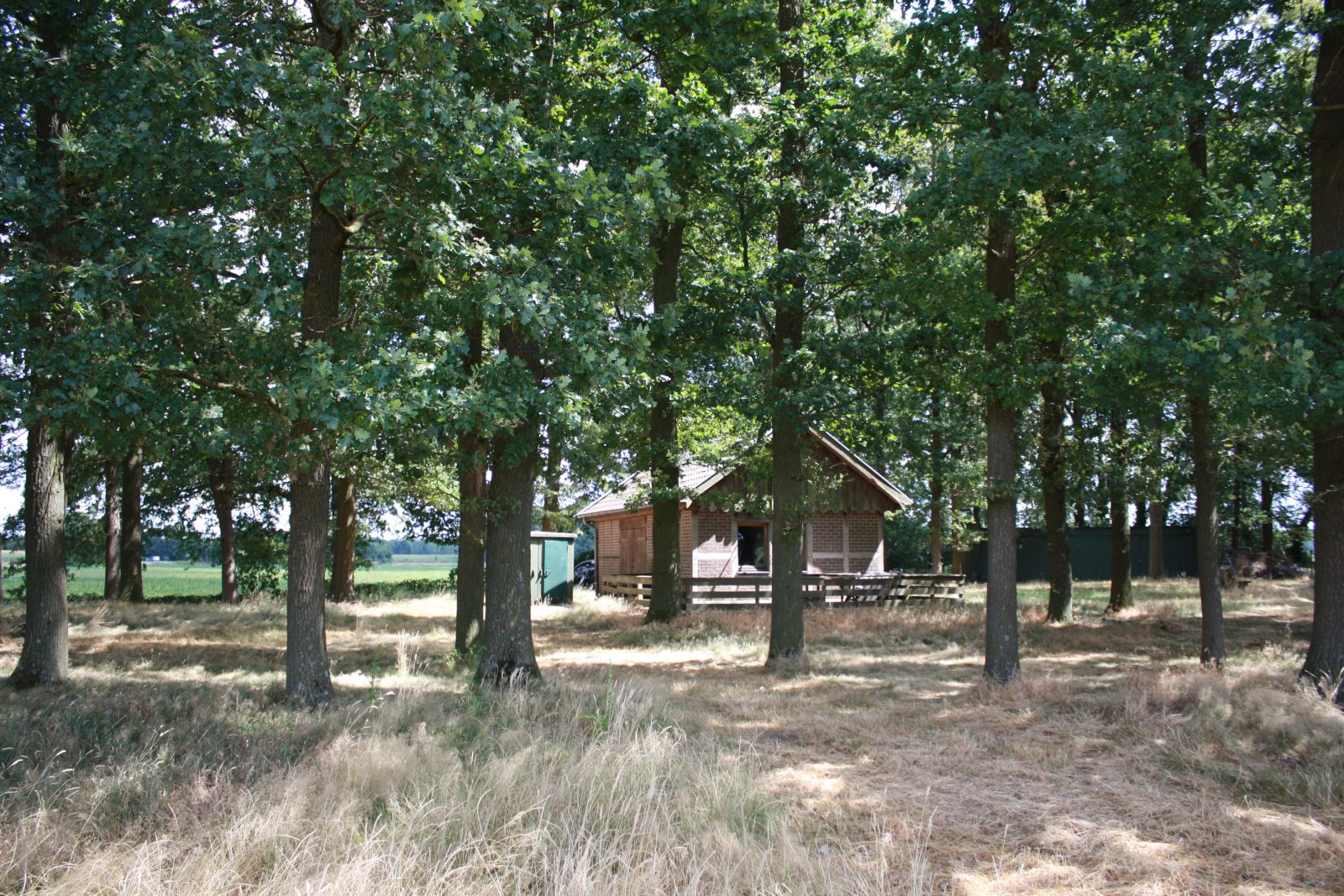Seltenes Naturgrundstück im Emsland – 4 ha Weide, 2 Teiche, Gebäude genehmigt, komplett eingezäunt