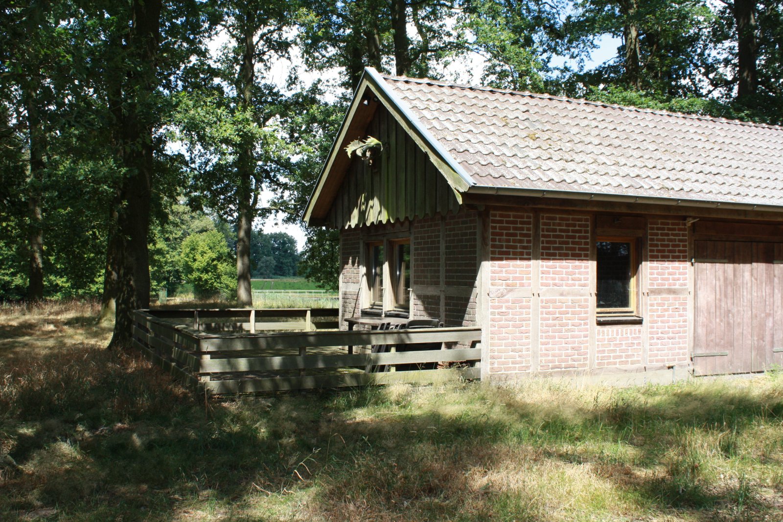 Seltenes Naturgrundstück im Emsland – 4 ha Weide, 2 Teiche, Gebäude genehmigt, komplett eingezäunt