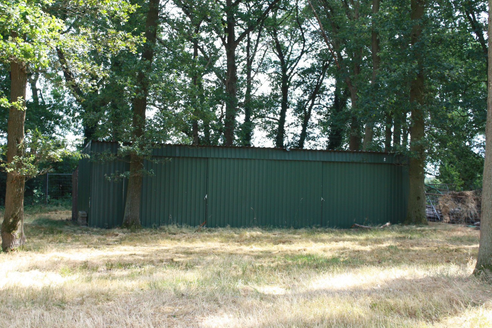 Seltenes Naturgrundstück im Emsland – 4 ha Weide, 2 Teiche, Gebäude genehmigt, komplett eingezäunt