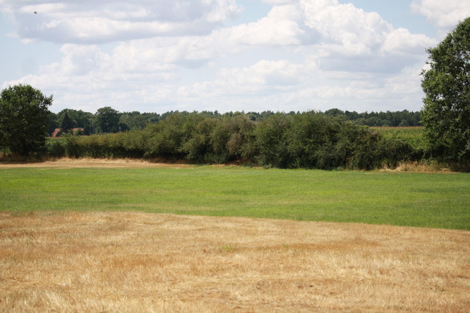 Seltenes Naturgrundstück im Emsland – 4 ha Weide, 2 Teiche, Gebäude genehmigt, komplett eingezäunt
