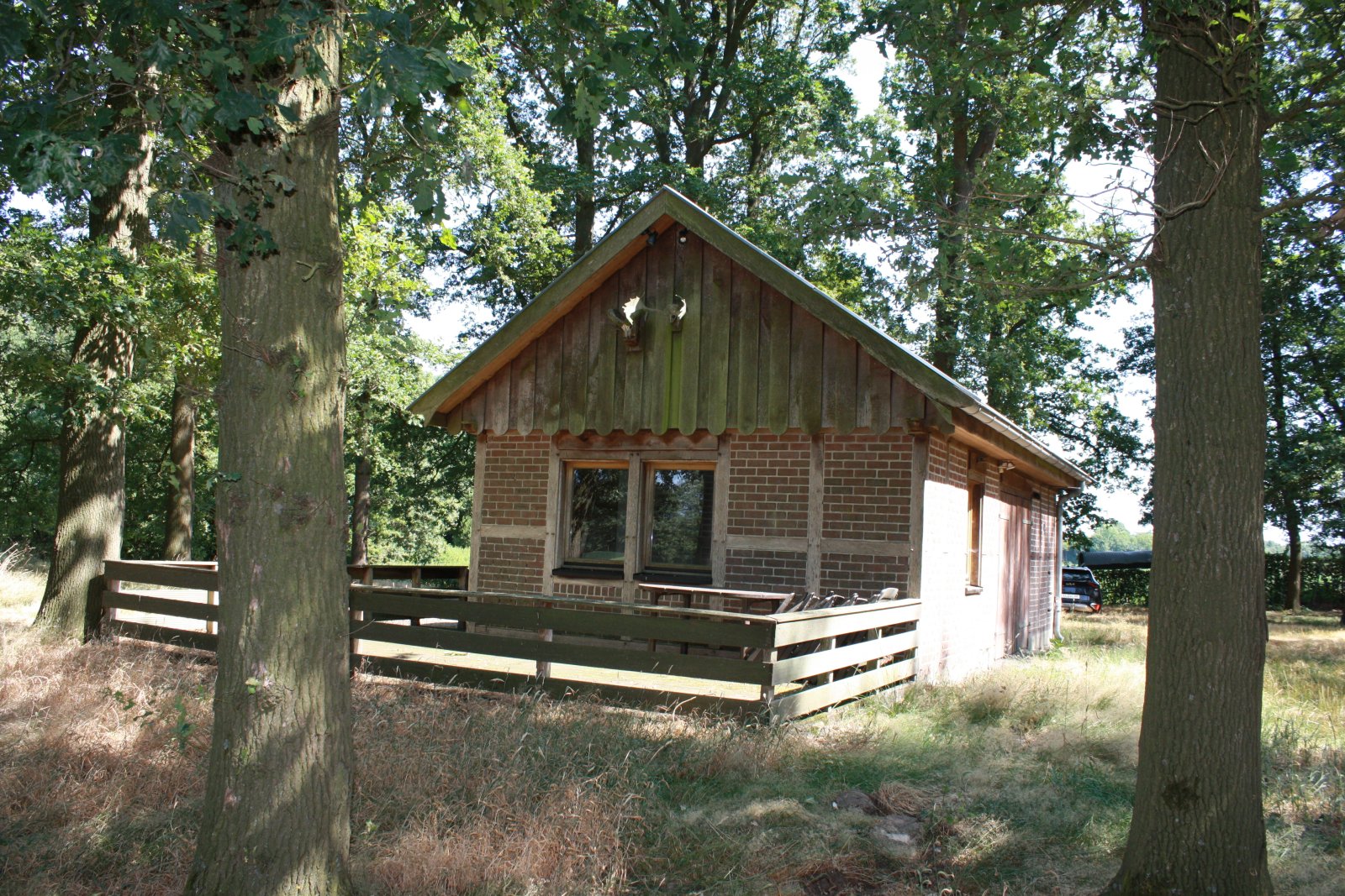 Seltenes Naturgrundstück im Emsland – 4 ha Weide, 2 Teiche, Gebäude genehmigt, komplett eingezäunt