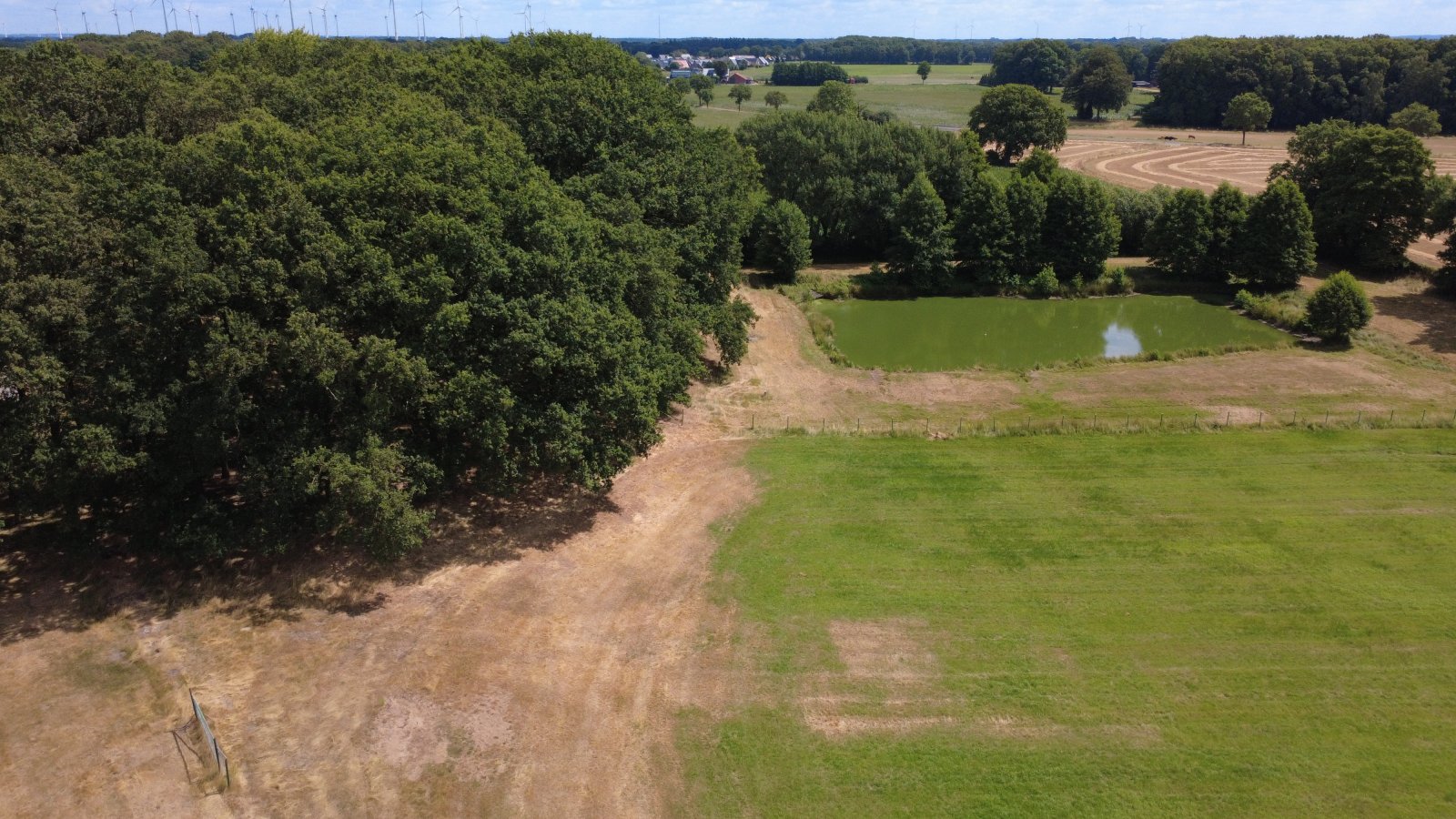 Seltenes Naturgrundstück im Emsland – 4 ha Weide, 2 Teiche, Gebäude genehmigt, komplett eingezäunt