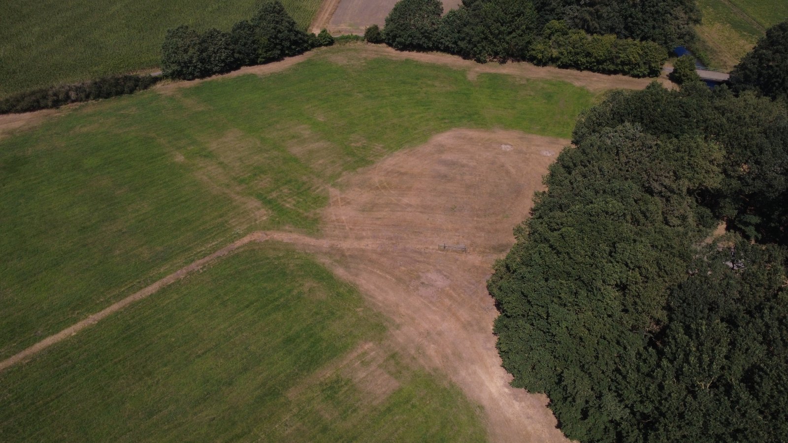 Seltenes Naturgrundstück im Emsland – 4 ha Weide, 2 Teiche, Gebäude genehmigt, komplett eingezäunt