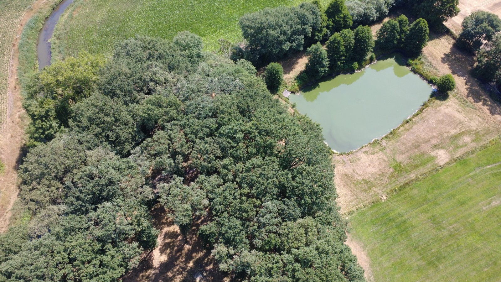 Seltenes Naturgrundstück im Emsland – 4 ha Weide, 2 Teiche, Gebäude genehmigt, komplett eingezäunt
