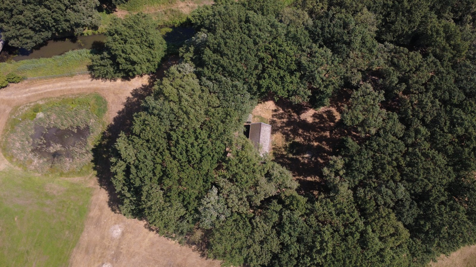 Seltenes Naturgrundstück im Emsland – 4 ha Weide, 2 Teiche, Gebäude genehmigt, komplett eingezäunt