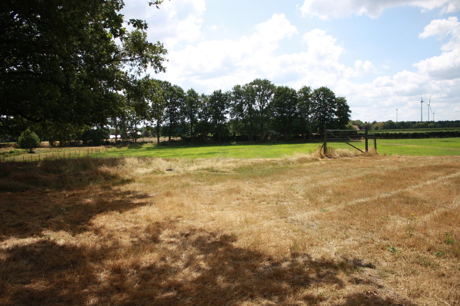 Seltenes Naturgrundstück im Emsland – 4 ha Weide, 2 Teiche, Gebäude genehmigt, komplett eingezäunt