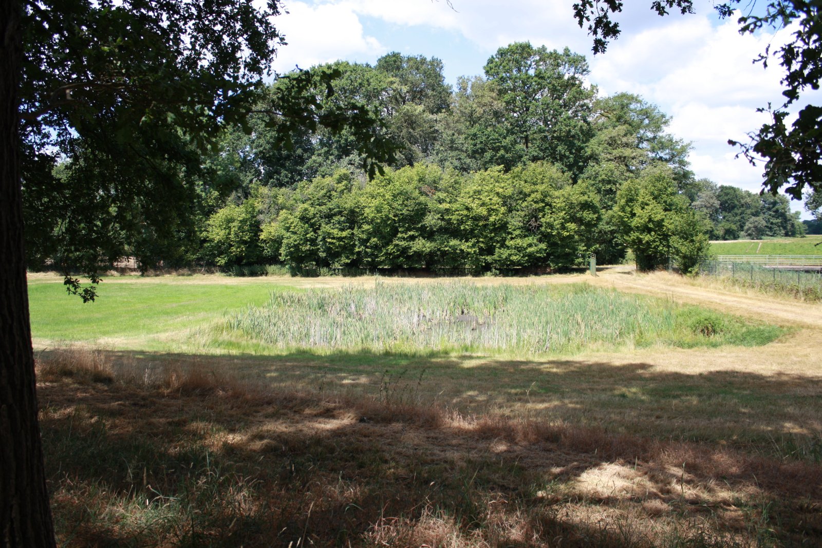 Seltenes Naturgrundstück im Emsland – 4 ha Weide, 2 Teiche, Gebäude genehmigt, komplett eingezäunt