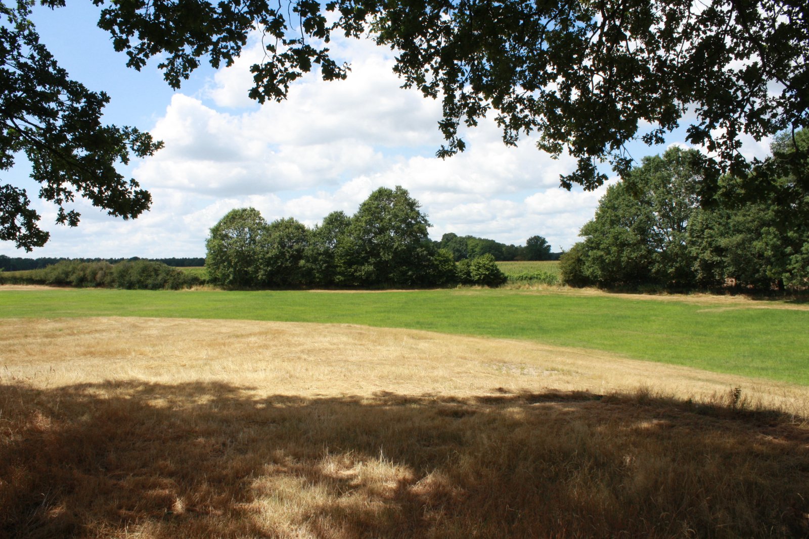 Seltenes Naturgrundstück im Emsland – 4 ha Weide, 2 Teiche, Gebäude genehmigt, komplett eingezäunt