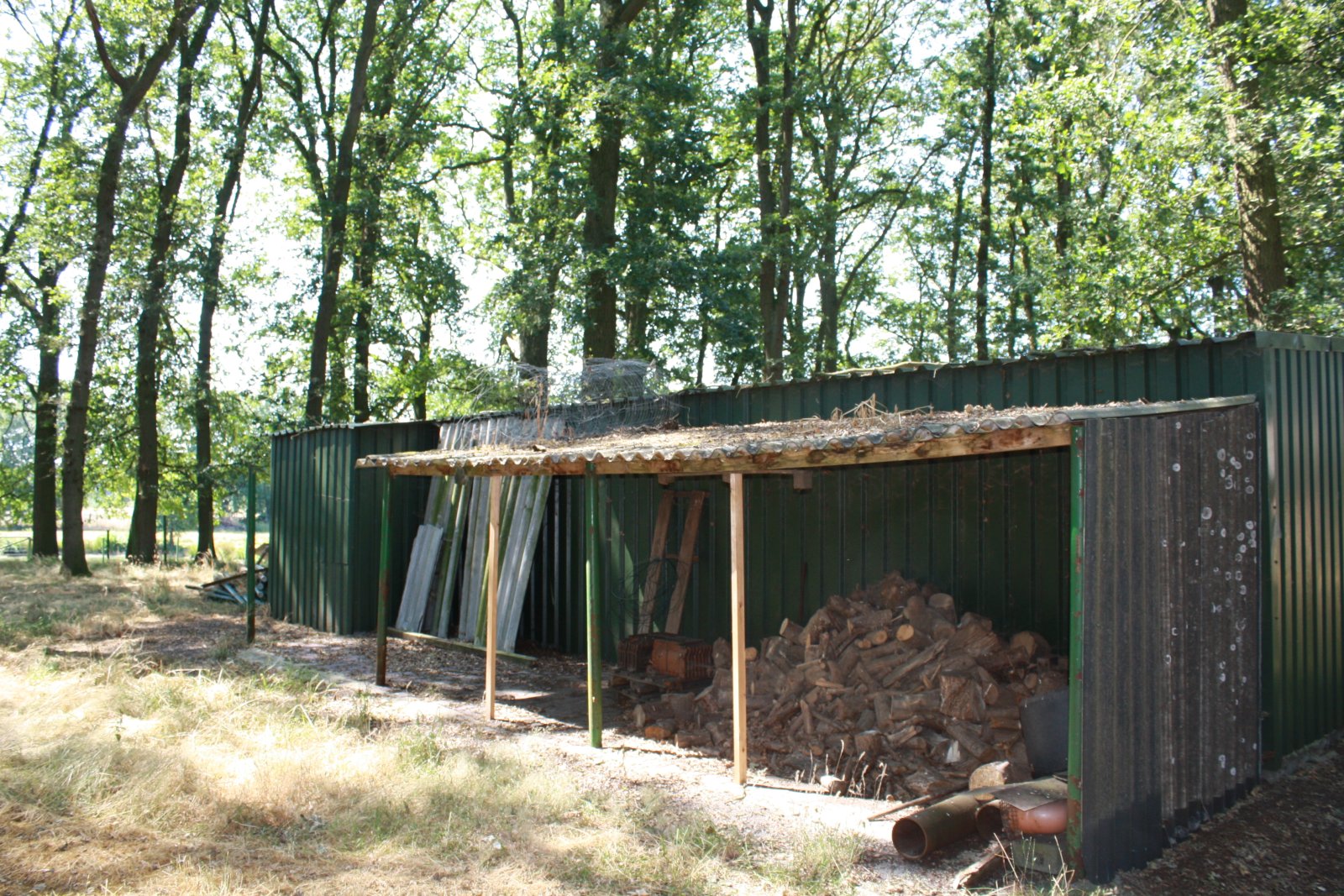 Seltenes Naturgrundstück im Emsland – 4 ha Weide, 2 Teiche, Gebäude genehmigt, komplett eingezäunt