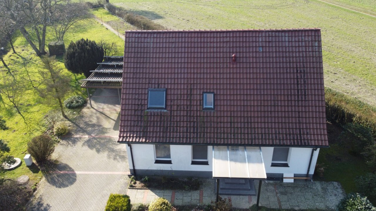DJI 0981 DJI 0981